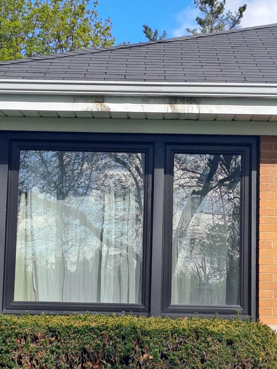 European window installation by Alteza24